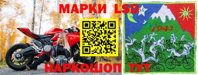 дмт Нальчик