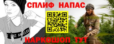 дмт Нальчик