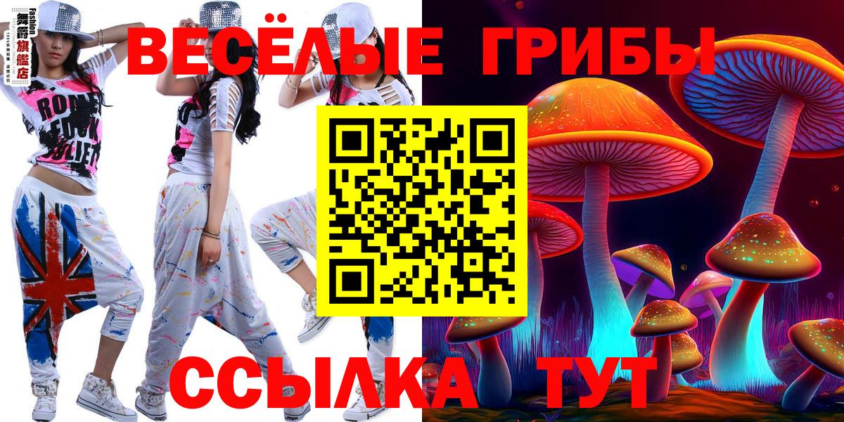 Ставрополь  Галлюциногенные грибы мицелий  Вход с VPN  Псилоцибиновые грибы Cubensis 